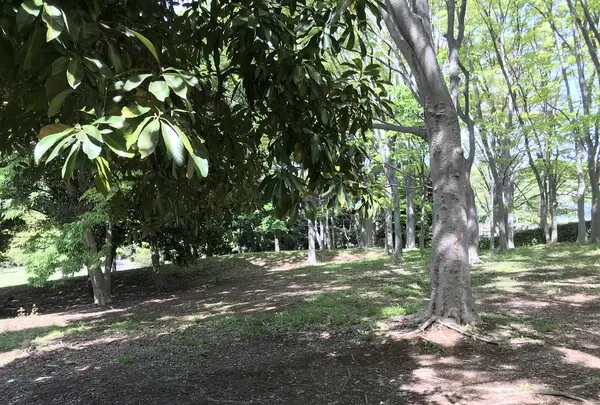地蔵王廟の写真・動画_image_272622