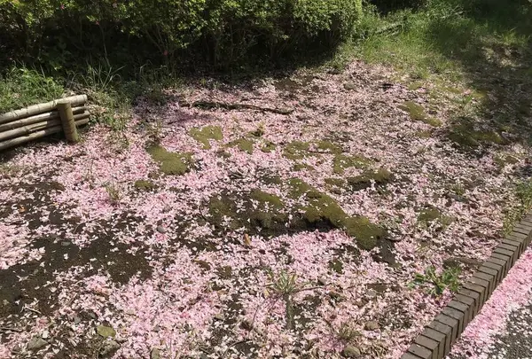 地蔵王廟の写真・動画_image_272624
