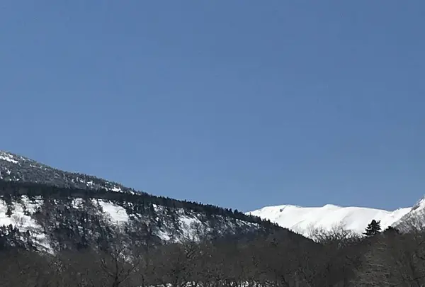 すみかわスノーパークの写真・動画_image_272643