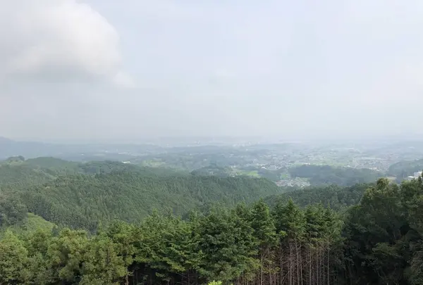 上赤阪城跡の写真・動画_image_272645
