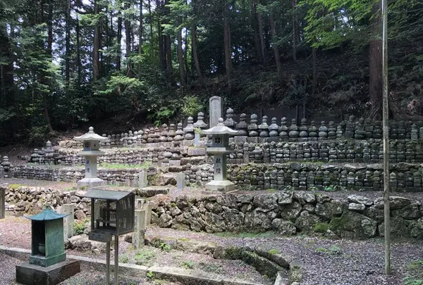 蓮華寺の写真・動画_image_272662