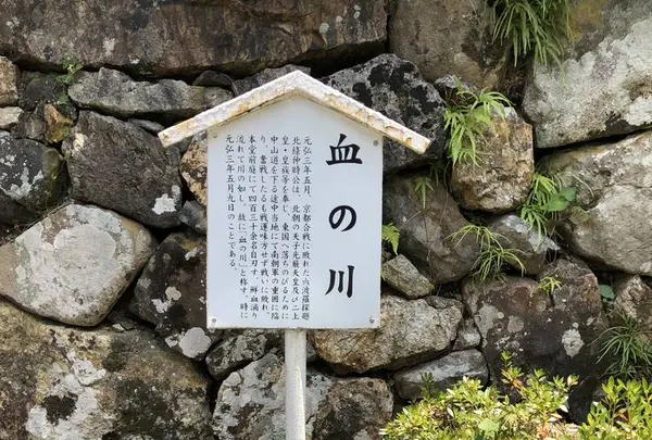 蓮華寺の写真・動画_image_272663