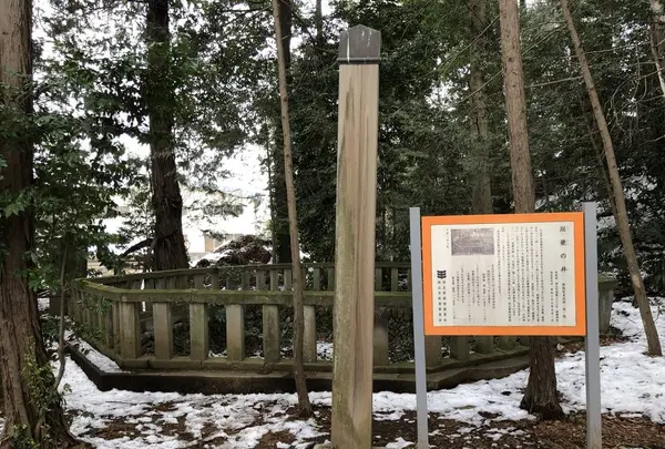 堀兼神社の写真・動画_image_272675