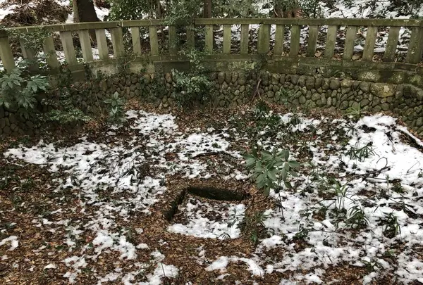 堀兼神社の写真・動画_image_272676