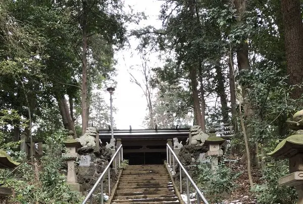 堀兼神社の写真・動画_image_272677