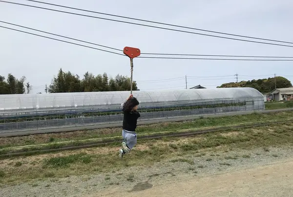 玉城ふれあい農園の写真・動画_image_272717