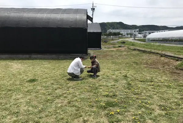 玉城ふれあい農園の写真・動画_image_272719