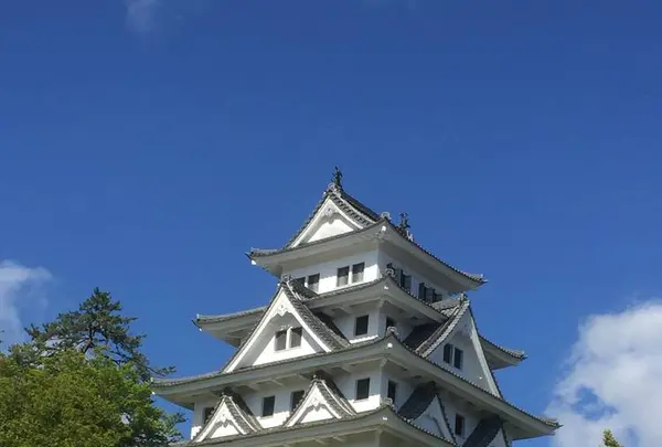 郡上八幡城の写真・動画_image_272918