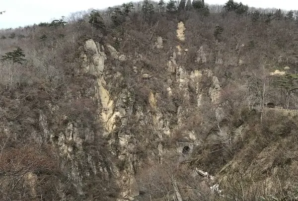 鳴子峡の写真・動画_image_273014