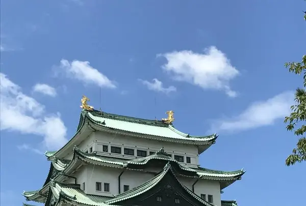 名古屋城の写真・動画_image_273203