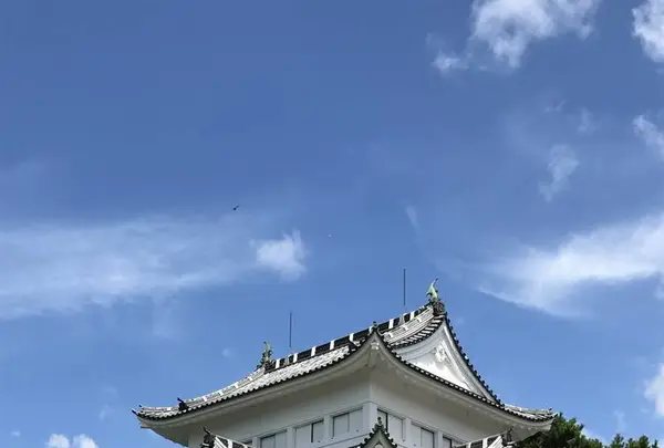 名古屋城の写真・動画_image_273208