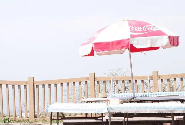 筑波山の写真・動画_image_273309