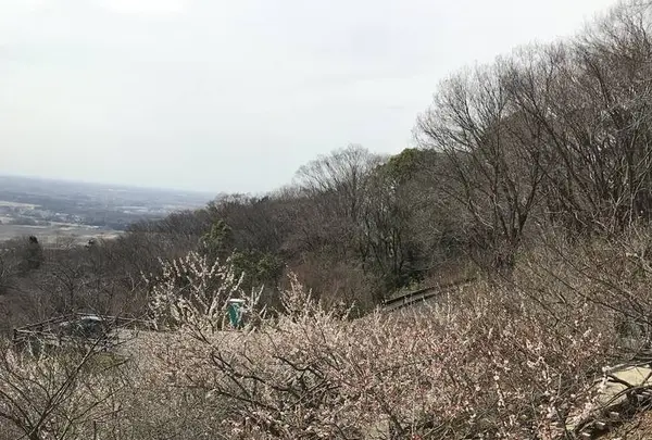 筑波山の写真・動画_image_273313