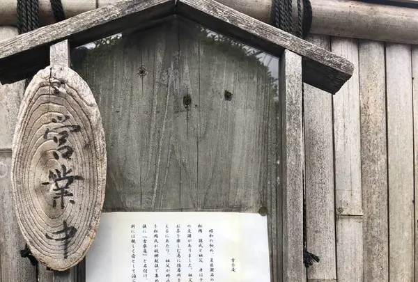 古桑庵の写真・動画_image_273426