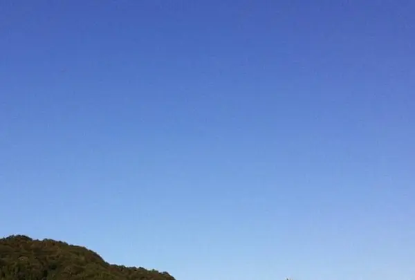 国史跡 平沢官衙遺跡の写真・動画_image_273728