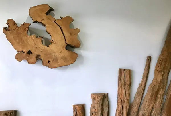 魚津埋没林博物館の写真・動画_image_273744