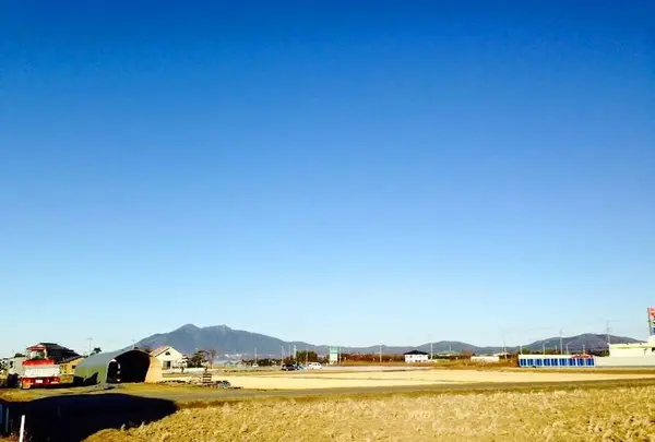 カフェジャーナルの写真・動画_image_273753