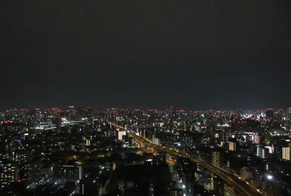 アートホテル大阪ベイタワーの写真・動画_image_273900