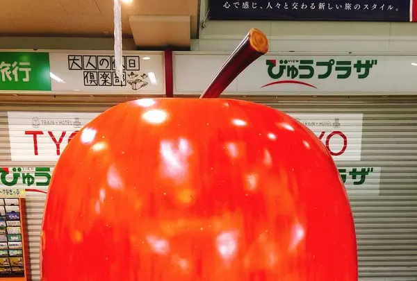 弘前駅の写真・動画_image_273970
