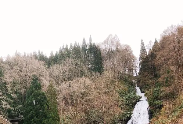 道の駅こさか七滝の写真・動画_image_273974