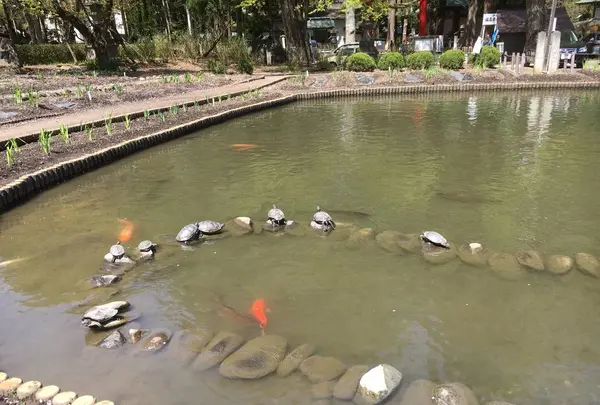 伊佐須美神社の写真・動画_image_274000