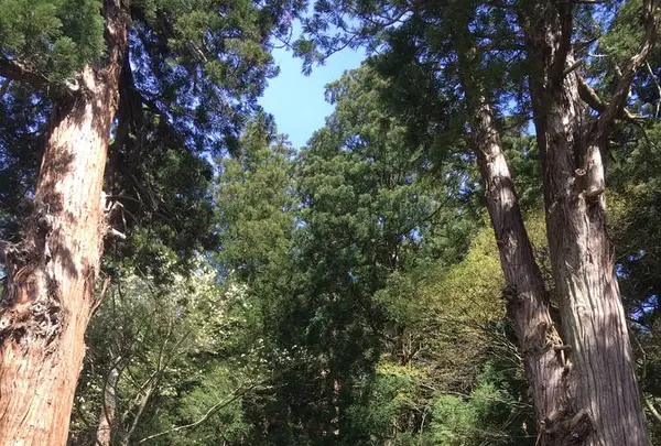 さざえ堂の写真・動画_image_274157