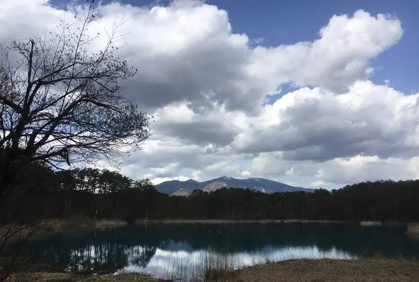 五色沼の写真・動画_image_274176