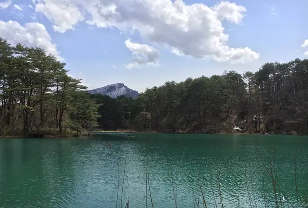 五色沼の写真・動画_image_274177