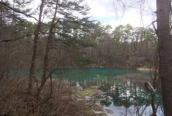 五色沼の写真・動画_image_274178