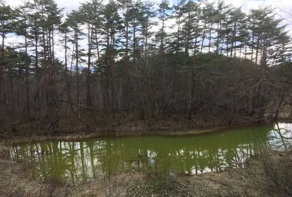 五色沼の写真・動画_image_274179