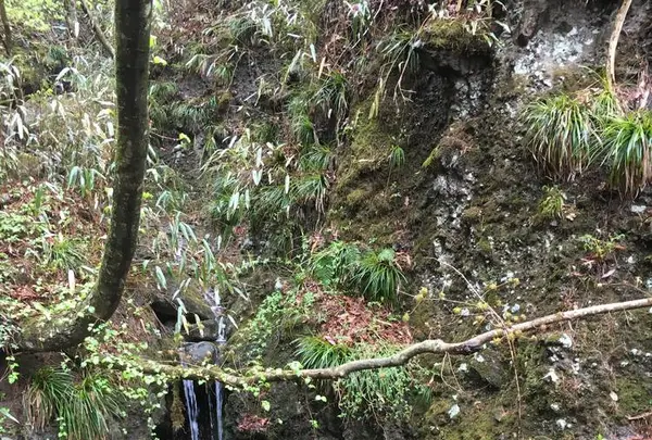霊山の写真・動画_image_274201