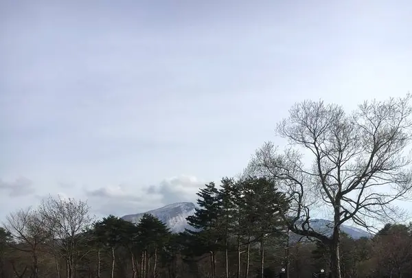 諸橋近代美術館の写真・動画_image_274213