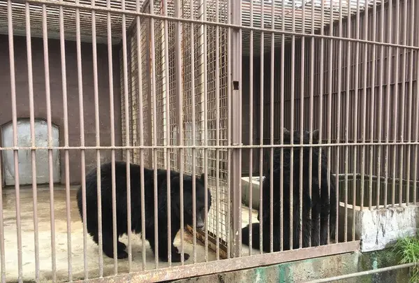 東北サファリパークの写真・動画_image_274230