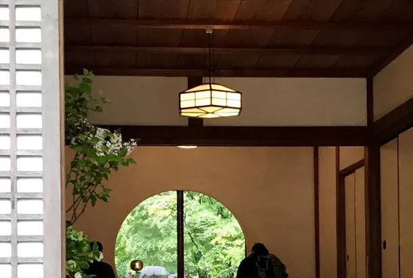 明月院（あじさい寺）の写真・動画_image_274252