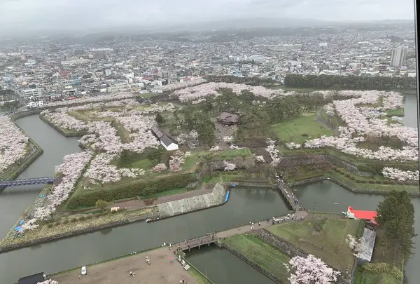 五稜郭公園の写真・動画_image_274259