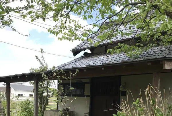 coxの写真・動画_image_274450