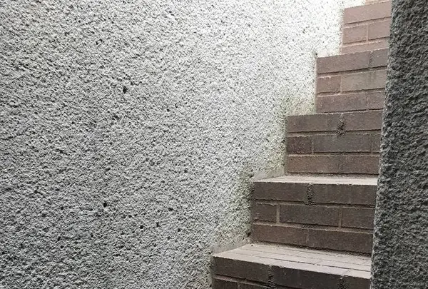 coxの写真・動画_image_274451