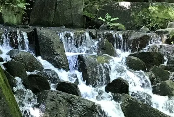徳川園の写真・動画_image_274594