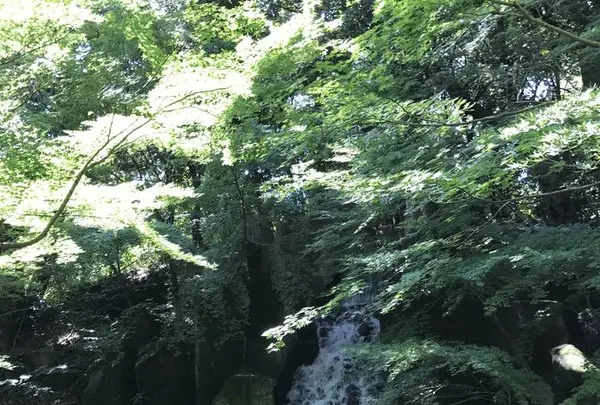 徳川園の写真・動画_image_274598