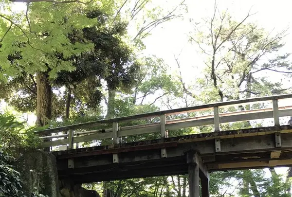 徳川園の写真・動画_image_274608