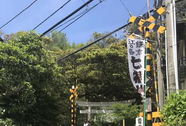 御霊神社の写真・動画_image_274619