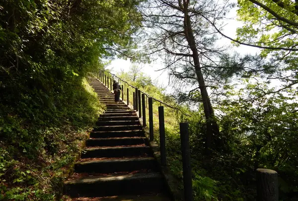 かぶと山展望台の写真・動画_image_274642