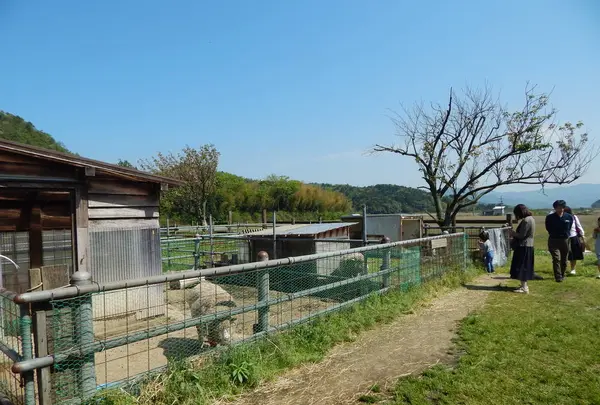 （有）丹後ジャージー牧場 ミルク工房そらの写真・動画_image_274651