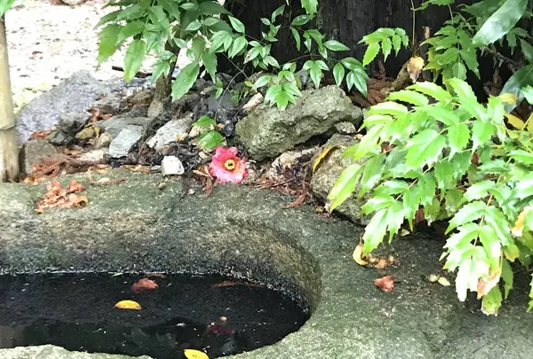 瑞宝寺公園の写真・動画_image_274676