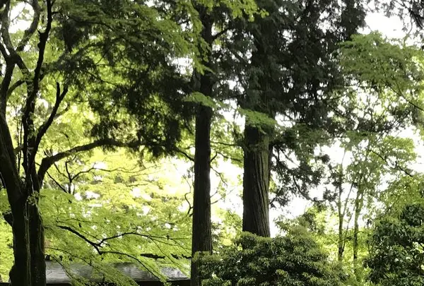 瑞宝寺公園の写真・動画_image_274677
