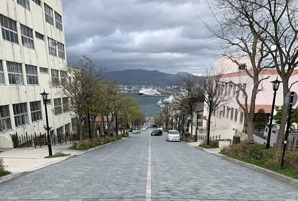 八幡坂の写真・動画_image_274824