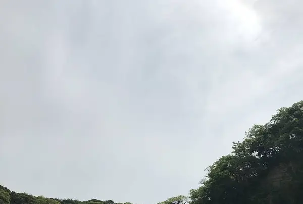 横須賀美術館の写真・動画_image_274900