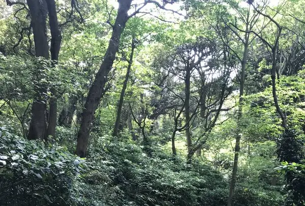 三軒家砲台跡の写真・動画_image_274912