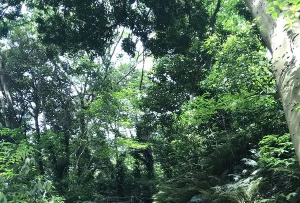 三軒家砲台跡の写真・動画_image_274913