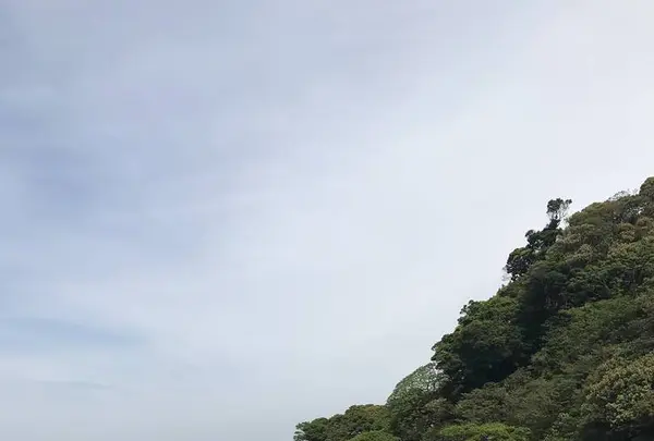 観音崎公園の写真・動画_image_274915